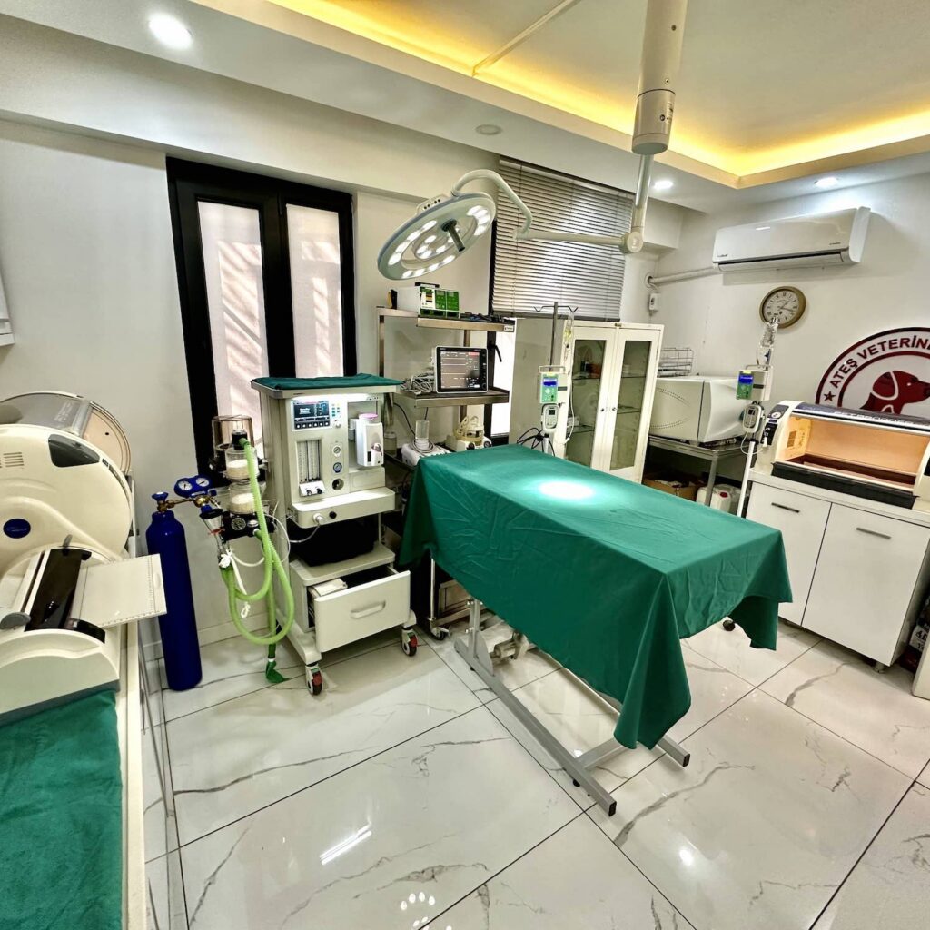 Ameliyathane – Ateş Veteriner Kliniği Şanlıurfa